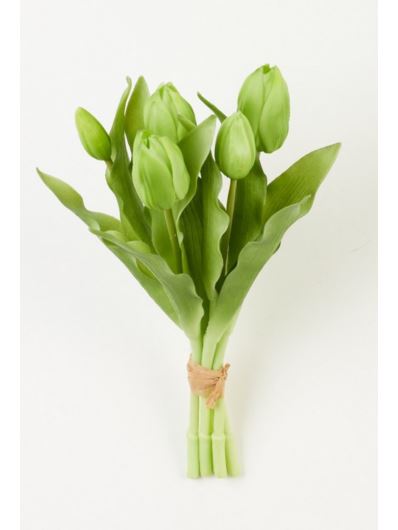 TULIPAN PĘCZEK SILIKONOWY 5 X PĄK GREEN