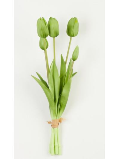 TULIPAN PĘCZEK GUMA 5 KWIATÓW 38CM GREEN