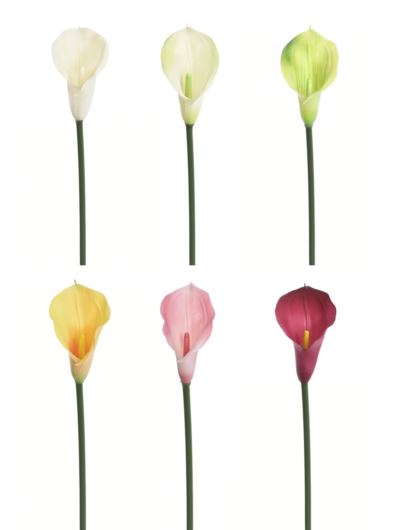 CALLA GUMA 72 CM  ANA1013 6 KOLORÓW  MIX4
