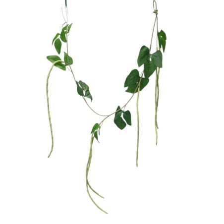 FASOLA DEKORACYJNA POWÓJ 130CM GREEN