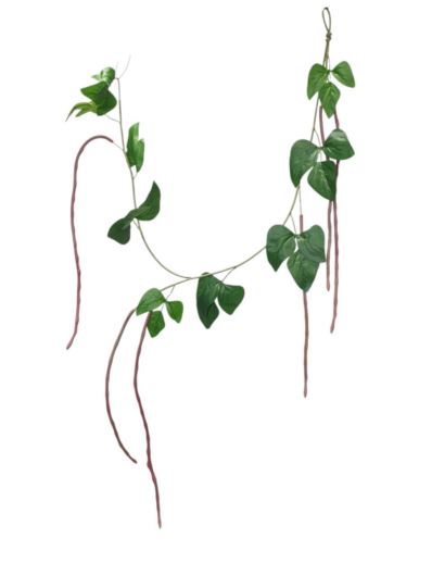 FASOLA DEKORACYJNA POWÓJ 130CM  RED GREEN
