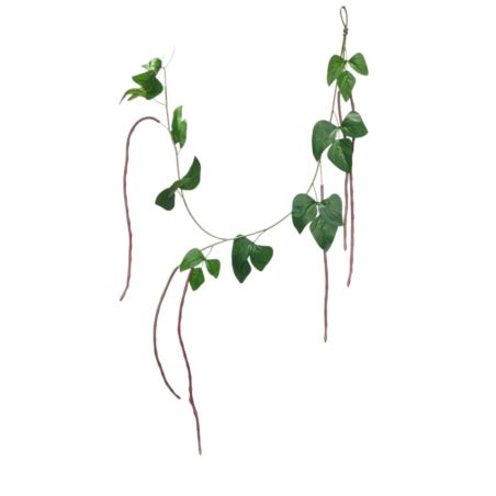 FASOLA DEKORACYJNA POWÓJ 130CM  RED GREEN