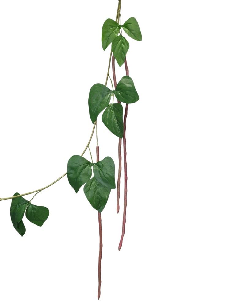 FASOLA DEKORACYJNA POWÓJ 130CM  RED GREEN