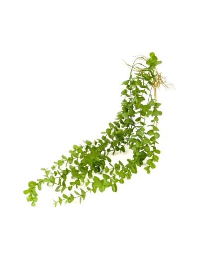 EUKALIPTUS ZWIS 3 PĘDY 95CM GREEN