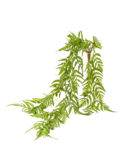 PAPROĆ LEŚNA ZWIS 3 PĘDY 95CM GREEN