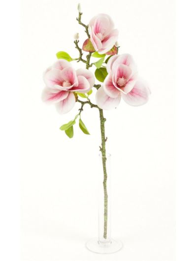 MAGNOLIA GAŁĄZKA 3 KWIATY 58CM CREAM LT PINK