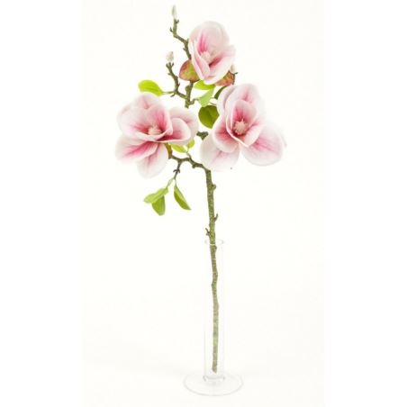 MAGNOLIA GAŁĄZKA 3 KWIATY 58CM CREAM LT PINK