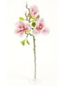 MAGNOLIA GAŁĄZKA 3 KWIATY 58CM CREAM LT PINK