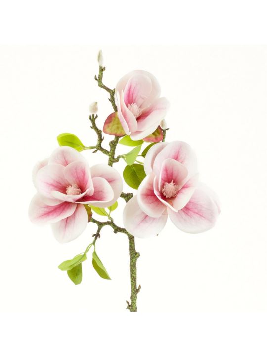 MAGNOLIA GAŁĄZKA 3 KWIATY 58CM CREAM LT PINK