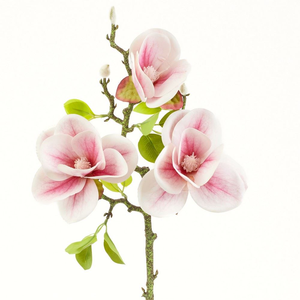 MAGNOLIA GAŁĄZKA 3 KWIATY 58CM CREAM LT PINK