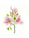 MAGNOLIA GAŁĄZKA 3 KWIATY 58CM CREAM LT PINK