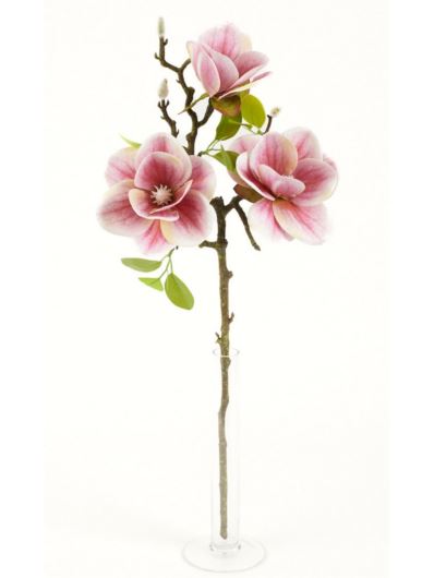 MAGNOLIA GAŁĄZKA 3 KWIATY 58CM RT PINK CREAM