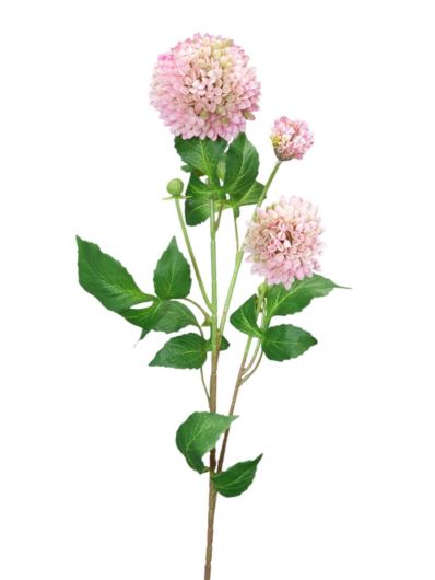 DALIA CZOSNEK 3 KWIATY GAŁĄZKA 70CM LT PINK