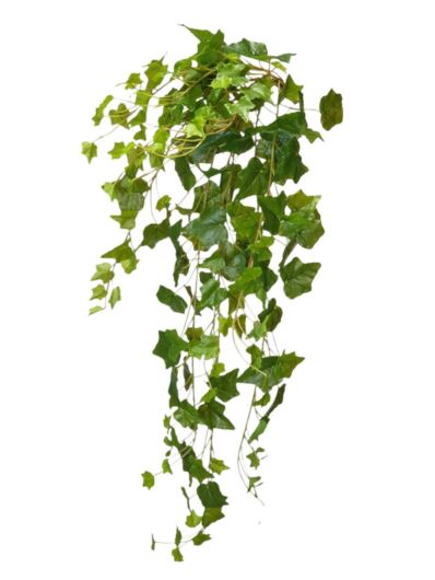 HEDERA BLUSZCZ ZWIS RT 90CM GREEN