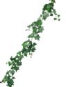 HEDERA BLUSZCZ GIRLANDA 160CM GREEN