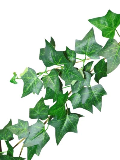 HEDERA BLUSZCZ GIRLANDA 160CM GREEN