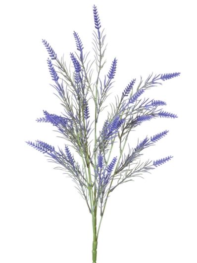 LAWENDA PĘCZEK 60CM VIOLET