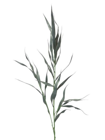 EUKALIPTUS NICOLII GAŁĄZKA 85CM GREEN GRAY