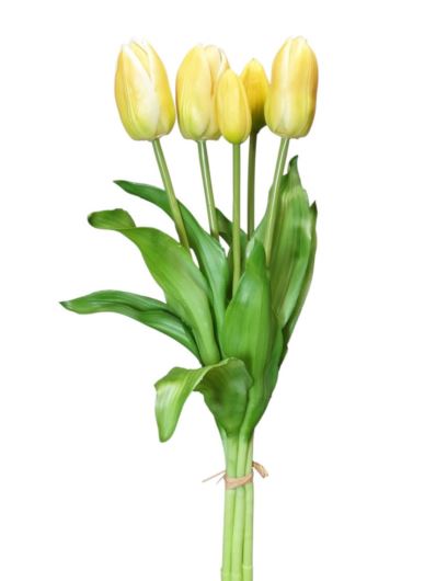 TULIPAN BUKIET GUMOWANY X5