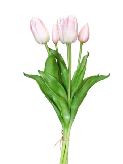 TULIPAN BUKIET GUMOWANY X5