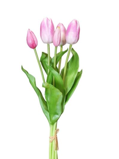 TULIPAN BUKIET GUMOWANY X5