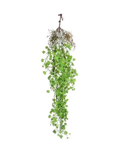 DIHONDRA ZWIS 80CM GREEN