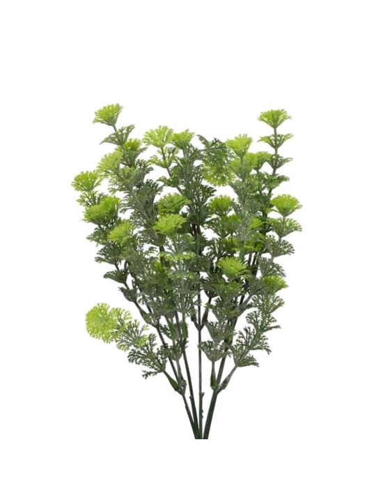 CABOMBA BUKIET DODATEK 5 GAŁĄZEK 35CM GREEN