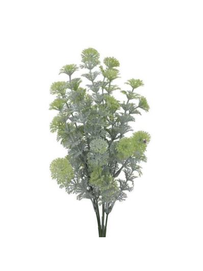 CABOMBA BUKIET DODATEK 5 GAŁĄZEK 35CM POWDER GREEN