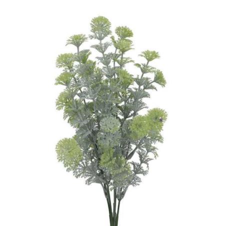 CABOMBA BUKIET DODATEK 5 GAŁĄZEK 35CM POWDER GREEN