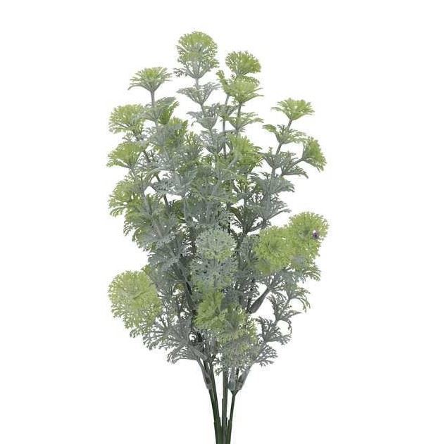 CABOMBA BUKIET DODATEK 5 GAŁĄZEK 35CM POWDER GREEN