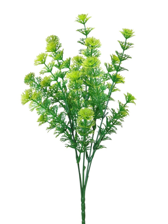 CABOMBA BUKIET DOD. 5 GAŁ. CV38190 35CM GREEN