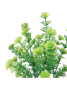 CABOMBA BUKIET DOD. 5 GAŁ. CV38190 35CM GREEN