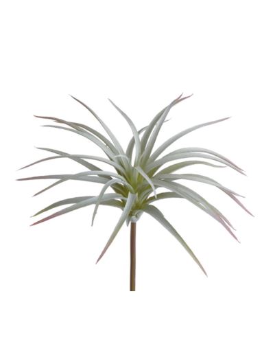 OPLĄTWA SUKULENT 16CM POWDER GREEN