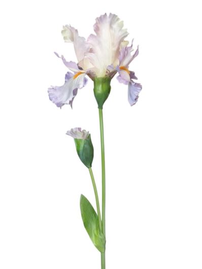 Irys 1+1 -sztucz.rośl.