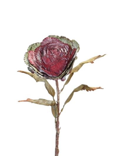 KAPUSTA OZDOBNA RUSTYKALNA 70CM GREEN BORDO