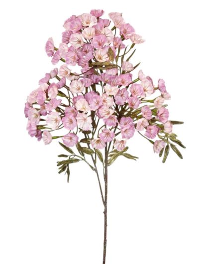 GOŹDZIK BRODATY 3 KWIATOSTANY 72CM VIOLET