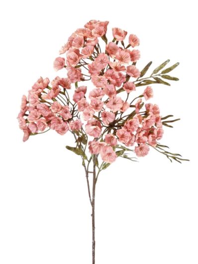 GOŹDZIK BRODATY 3 KWIATOSTANY 72CM SALMON