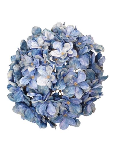 HORTENSJA GŁOWA 20CM CHQ07 A 17 BLUE