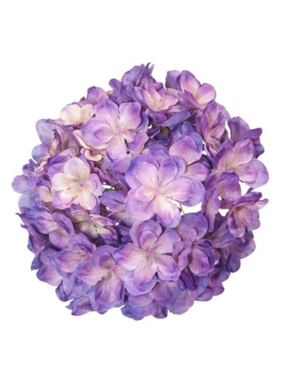 HORTENSJA GŁOWA 20CM CHQ07 1 PURPLE