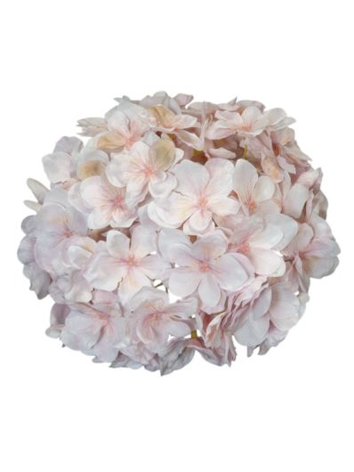 HORTENSJA GŁOWA 20CM CHQ07 4 LT PINK