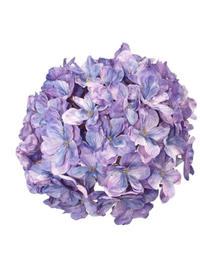 HORTENSJA GŁOWA 20CM CHQ07 A 6 VIOLET