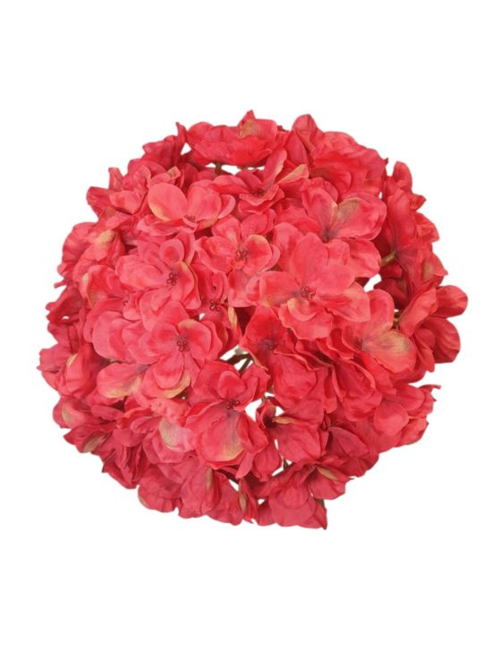 HORTENSJA GŁOWA 20CM CHQ07 5 RED