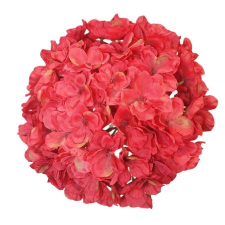 HORTENSJA GŁOWA 20CM CHQ07 5 RED