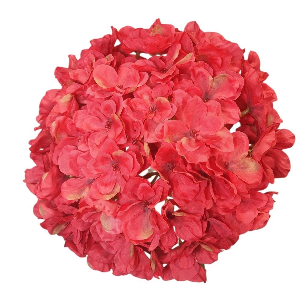 HORTENSJA GŁOWA 20CM CHQ07 5 RED