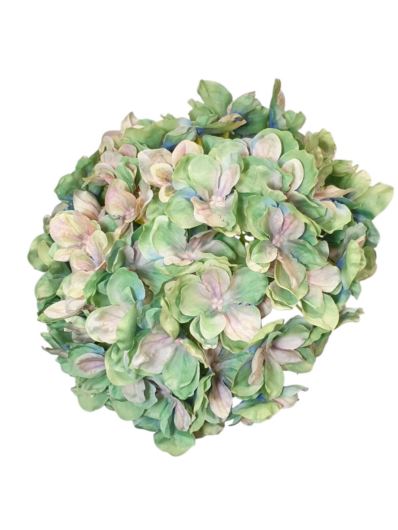 HORTENSJA GŁOWA 20CM CHQ07 7 GREEN