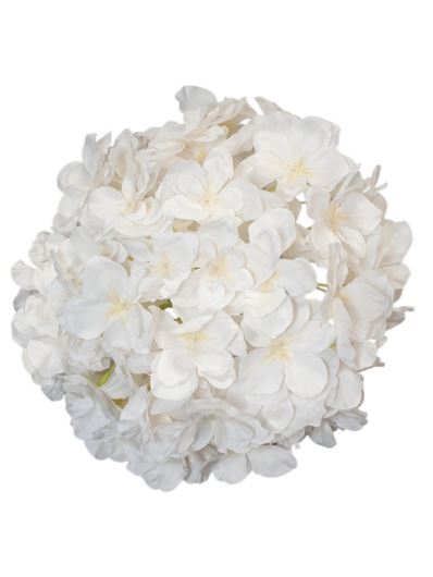 HORTENSJA GŁOWA 20CM CHQ07 15 CREAM