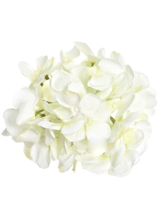 HORTENSJA GŁOWA 17CM KLM1201 WHITE GREEN