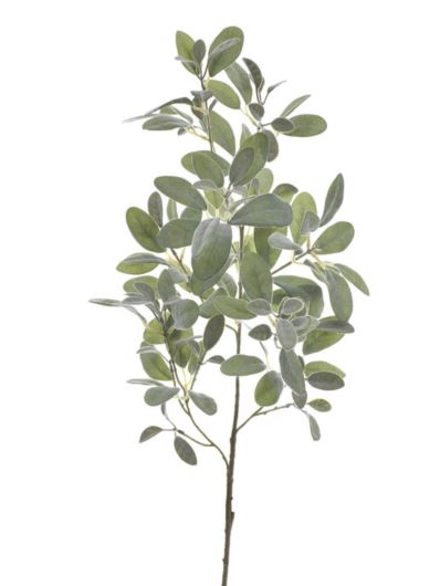 STARZEC GAŁĄZKA FLOKOWANA 110CM POWDER GREEN