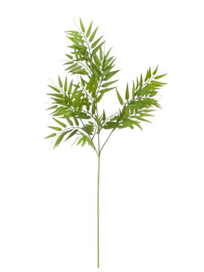 Paproč gałązka x3