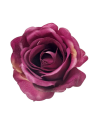RÓŻA MGHT GŁÓWKA 9CM DIRTY DR VIOLET